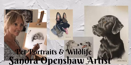 Watercolour workshop 