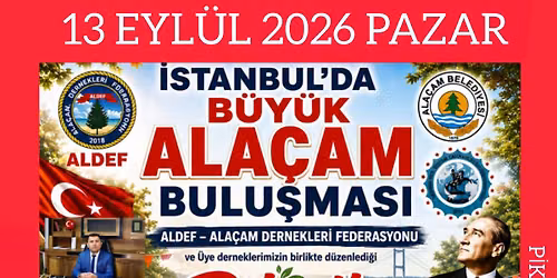 \u0130STANBUL'DA B\u00dcY\u00dcK ALA\u00c7AM BULU\u015eMASI