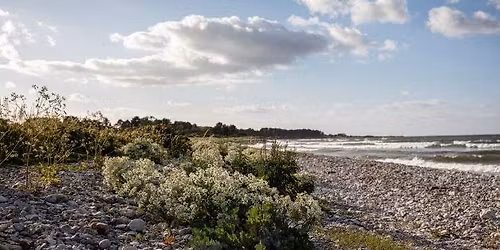 Ugekursus: Vores og jordklodens bevidsthedsliv \u2013 anden uge