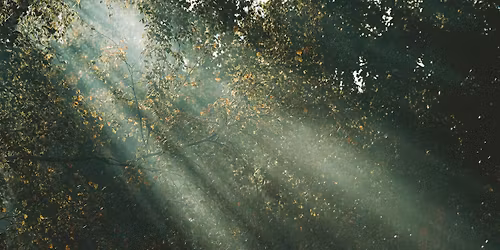 Past Life Regression & Angelic Message