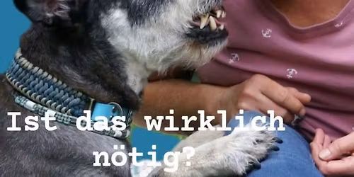 Impfung f\u00fcr Hunde und Katzen