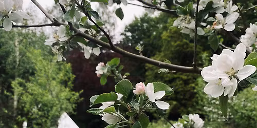 For\u00e5rsyoga p\u00e5 naturgrunden 