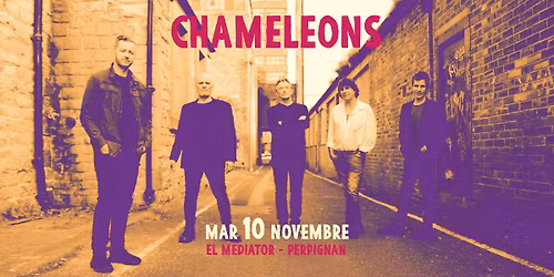 Chameleons + Markus Detmer DJ Set