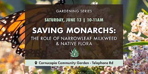 Saving Monarchs: The Role of Narrowleaf Milkweed & Native Flora
