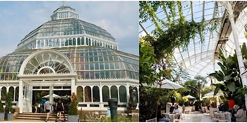 Sefton Park Palm House Guided Tour