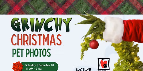 Grinchy Christmas Pet Photos