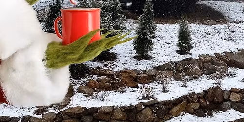 A Grinchy Christmas at the Village