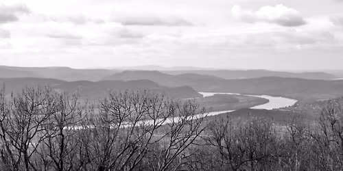 31. H\u00e1g\u00f3 Kupa