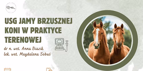 USG jamy brzusznej koni w praktyce terenowej