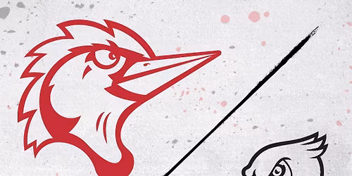 Myrtle Beach Pelicans at Fayetteville Woodpeckers at Segra Stadium