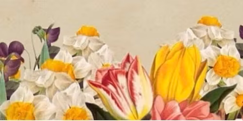 Women\u2019s Gathering