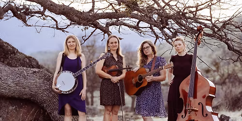 The Rosa Lees at Dos Mariposas