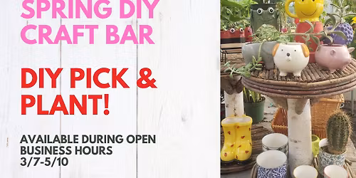 Spring DIY Craft Bar: Pick & Plant!