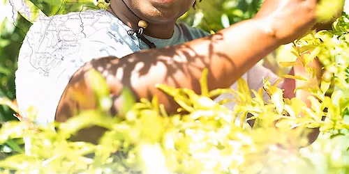 Rooted + Planetwalker @Illinois Institute of Technology