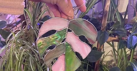 Stained Glass Monstera Leaf Workshop
