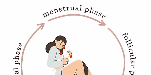 Menstrual Cycle Education