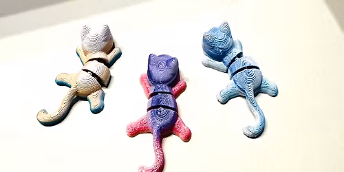 Children's Program: 3D Design and 3D Printing of a colorful mini pet