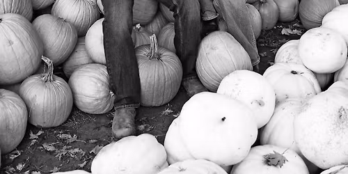 Jacob and Angelique\u2019s Stag and Doe