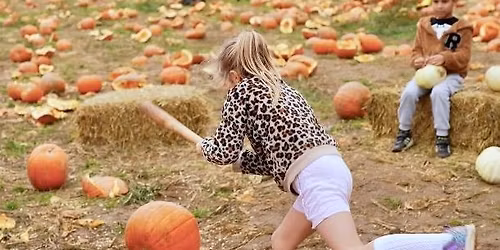 Pumpkin SMASH @ Rogate Pumpkin Patch