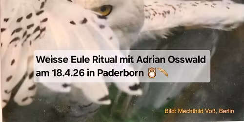 Weisse Eule Ritual mit Adrian Osswald in Paderborn 