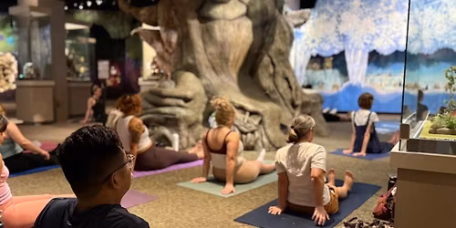 Yoga at the Museum