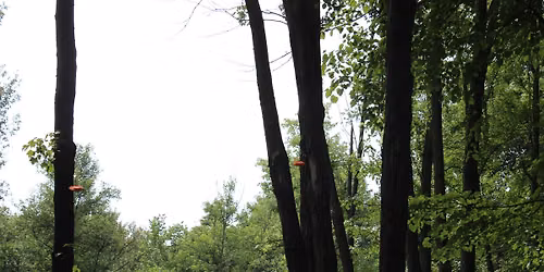 Sporting Clays