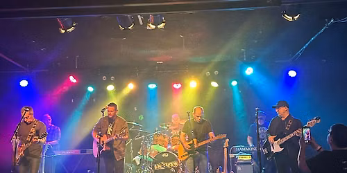 Debits Gig - Lazy Chameleon 