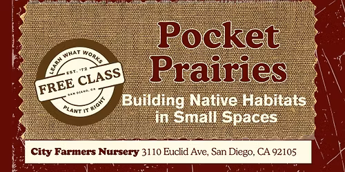 Pocket Prairies: Building Native Habitat in Small Spaces