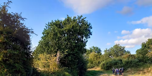 Appledore 5.8 mile walk