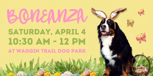 Boneanza 2026