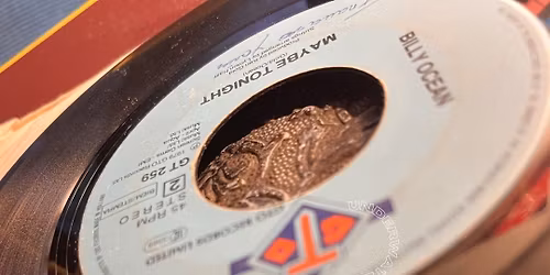 Vin & Vinyl + marked