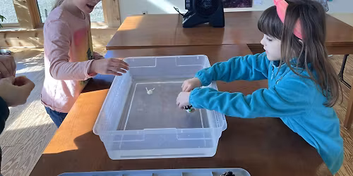 Jr. Naturalist: Seed Science