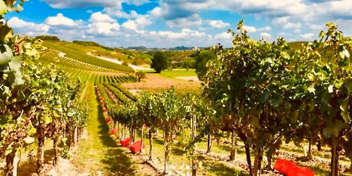 Final Winemaker tasting of the season: Federico Primo with Tenuta La Meridiana, Italy 