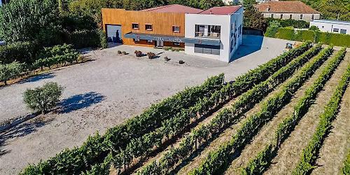 Wines of Portugal with owner Francisco Gomes