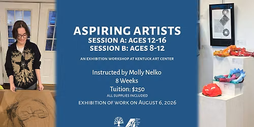 Aspiring Artist Summer Camp Ages 8-16