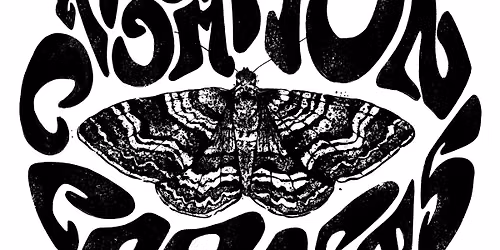 the common carpets (de)