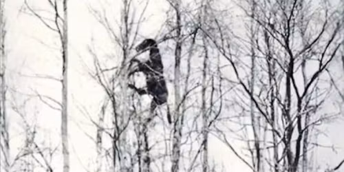 Corpus Christi Blues Band