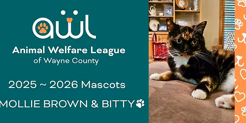 Pet Food Distribution 