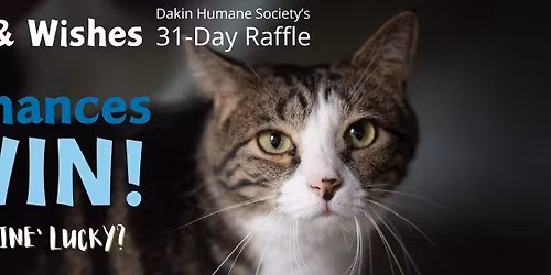 Dakin's Whiskers & Wishes: 31-Day Raffle