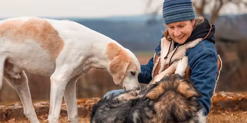 Angst beim Hund - mit Katja Schumacher