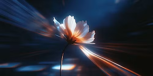 Sinestesia phygital: un espacio entre la pantalla y la emoci\u00f3n