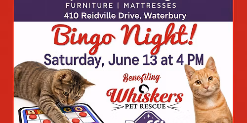 WHISKERS ANNUAL BINGO NIGHT @ Raymour & Flanigan Furniture Waterbury