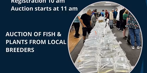Atlanta Area Aquarium Assoc Fall Mega Auction