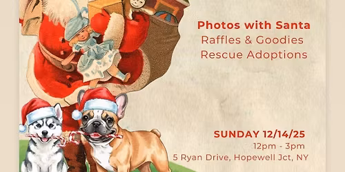 Santa paws \ud83d\udc3e