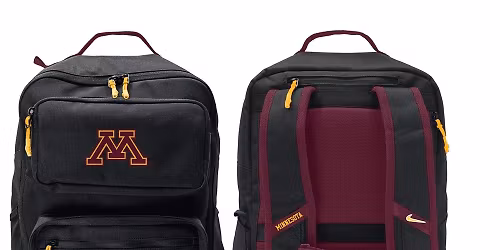 Northern Illinois Huskies at Minnesota Golden Gophers Womens Gymnastics at Maturi Pavilion