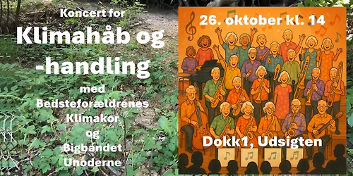 Koncert for klimah\u00e5b og -handling