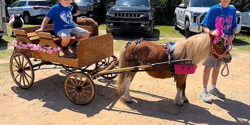 Trunk or Treat pony cart rides at Jolly Roger