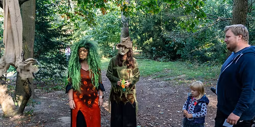 \u010carod\u011bjnick\u00fd poh\u00e1dkov\u00fd les