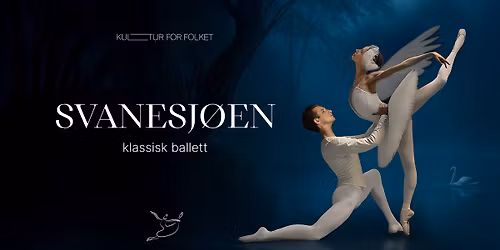 Svanesj\u00f8en - Classical Ukrainian Etoile Ballet