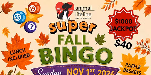 Animal Lifeline Fall Bingo 
